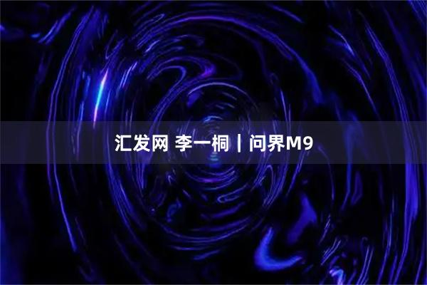 汇发网 李一桐｜问界M9