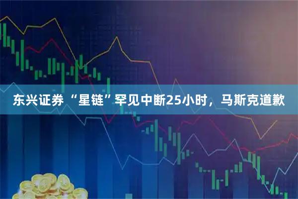 东兴证券 “星链”罕见中断25小时，马斯克道歉