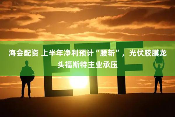 海会配资 上半年净利预计“腰斩”，光伏胶膜龙头福斯特主业承压