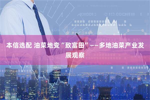 本信选配 油菜地变“致富田”——多地油菜产业发展观察