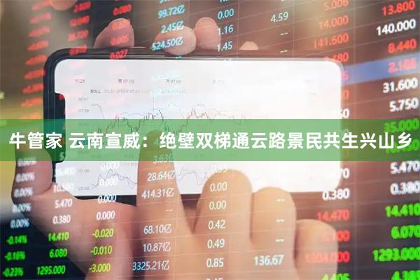 牛管家 云南宣威：绝壁双梯通云路景民共生兴山乡