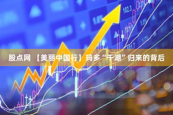 股点网 【美丽中国行】玛多“千湖”归来的背后