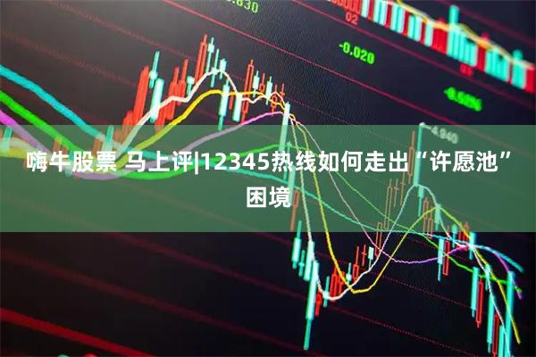 嗨牛股票 马上评|12345热线如何走出“许愿池”困境