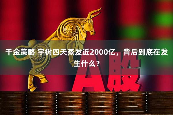 千金策略 宇树四天蒸发近2000亿，背后到底在发生什么？