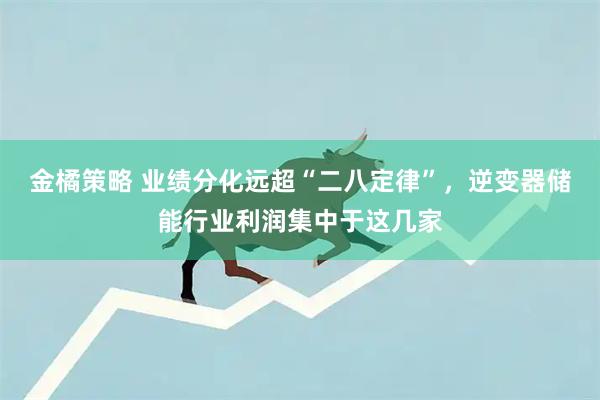 金橘策略 业绩分化远超“二八定律”，逆变器储能行业利润集中于这几家